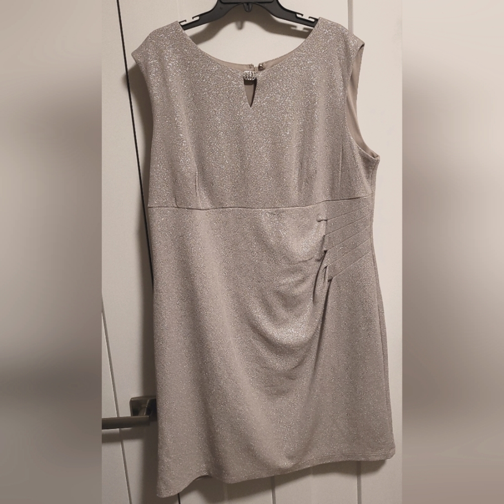 Plus Sleeveless Silver Glittery Dress